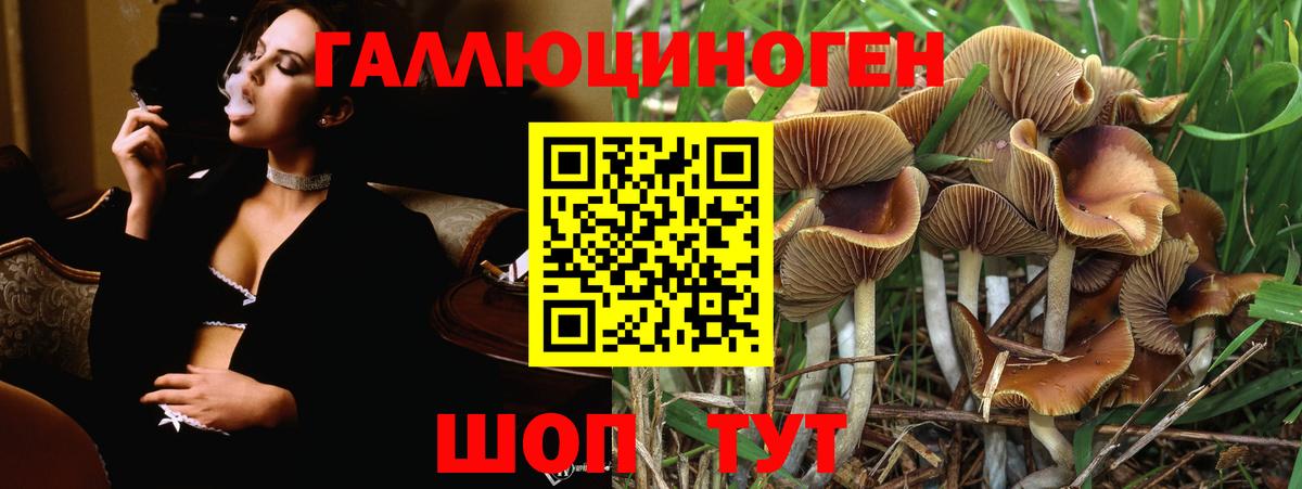 Псилоцибиновые грибы мухоморы  Вход с VPN  Галлюциногенные грибы мицелий  даркнет сайт  Сертолово 